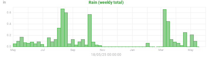 rain